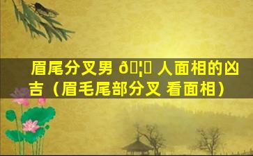 眉尾分叉男 🦉 人面相的凶吉（眉毛尾部分叉 看面相）